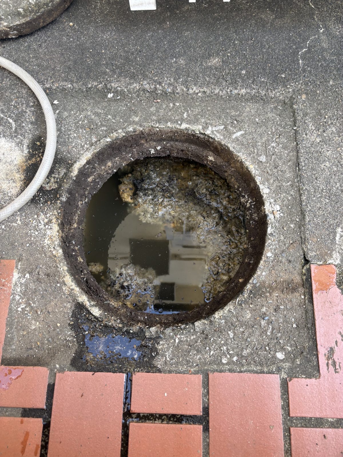 船橋市 屋外排水マスのつまり除去(写真2)